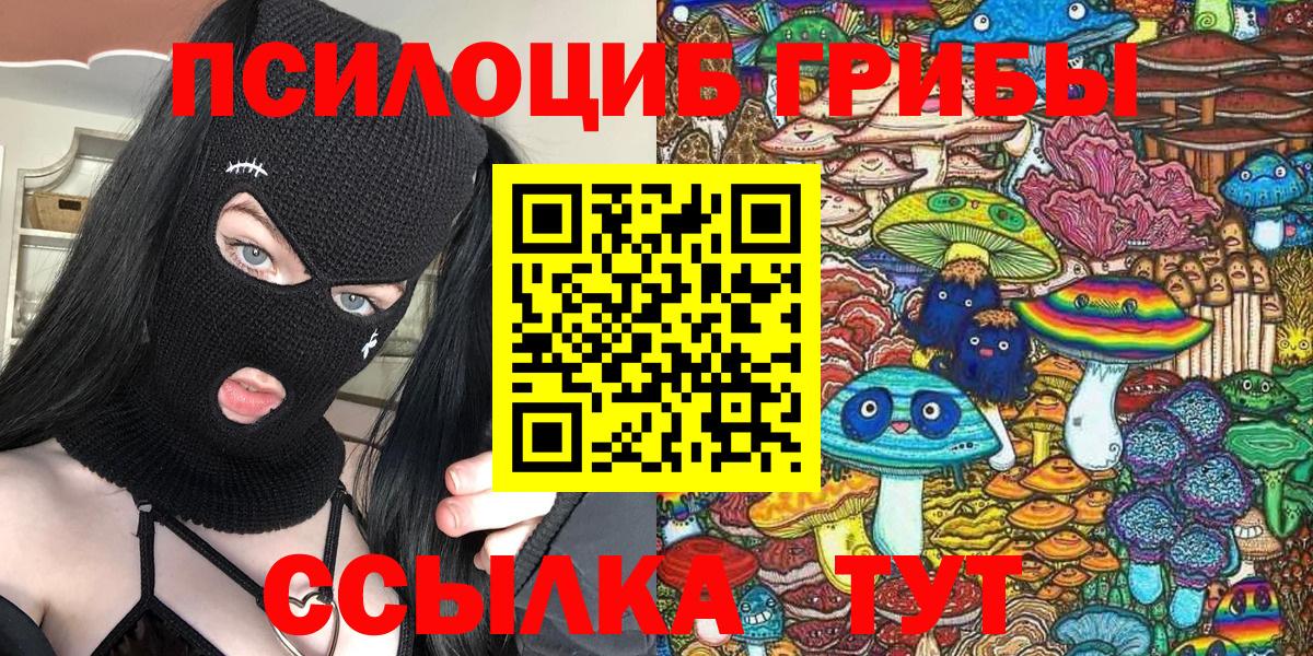 Псилоцибиновые грибы Psilocybe  Вход с VPN  Псилоцибиновые грибы GOLDEN TEACHER  Приморско-Ахтарск 