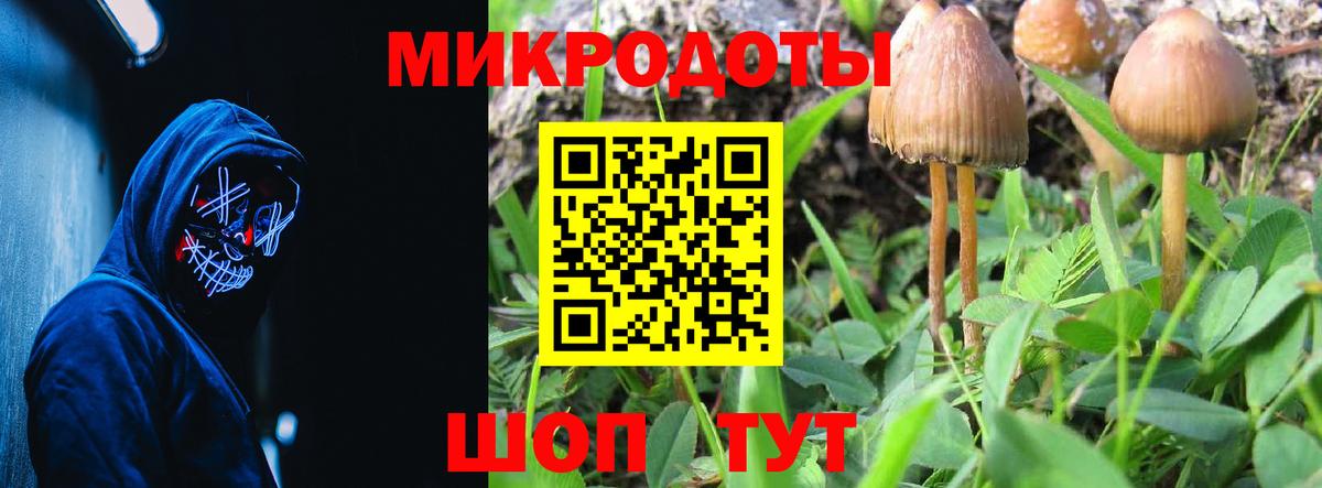 Галлюциногенные грибы MAGIC MUSHROOMS Приморско-Ахтарск